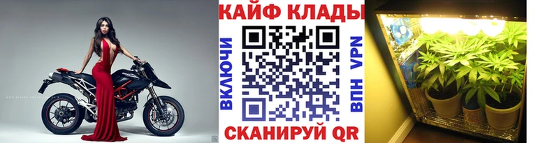 Виды наркотиков купить Аша Cocaine  Меф мяу мяу  kraken онион  АМФ  Канабис  ГАШ 