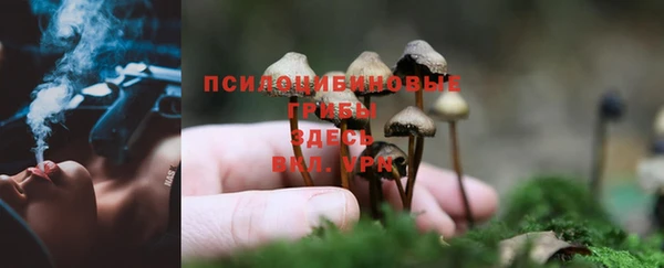 крисы Алексин