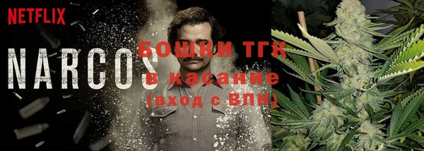 крисы Алексин