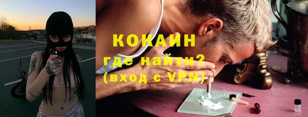 крисы Алексин