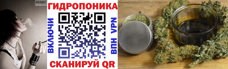 кракен рабочий сайт  Аша  Шишки марихуана семена 